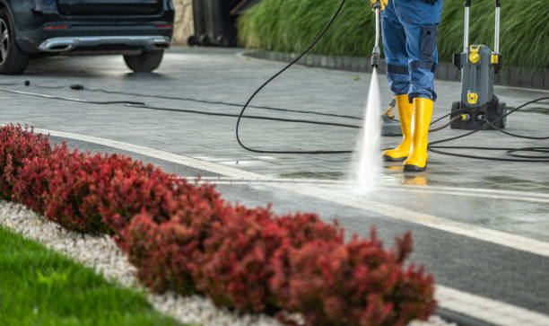 Best Solar Panel Cleaning  in Nambe, NM